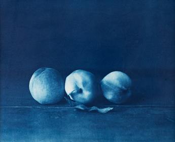 JOHN DUGDALE (1960- ) Three White Peaches.